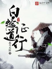 白蛇证道行章节列表