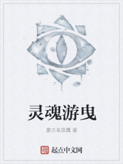 灵魂游曳章节列表