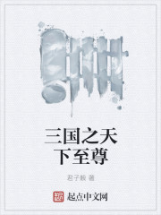 三国之天下至尊章节列表