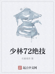 少林72绝技章节列表