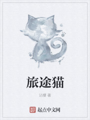 旅途猫章节列表