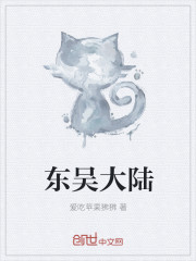 东吴大陆章节列表