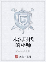 末法时代的巫师章节列表