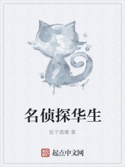 名侦探华生章节列表
