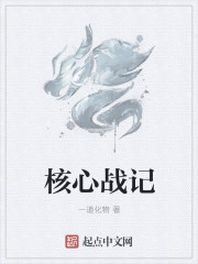 核心战记章节列表
