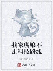 圣舰提督英雄谭章节列表