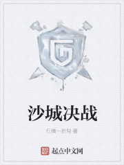 沙城决战章节列表