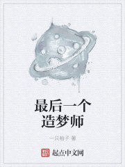 最后一个造梦师章节列表
