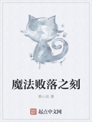 魔法败落之刻章节列表