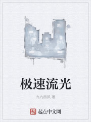 极速流光章节列表