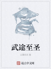 武途至圣章节列表