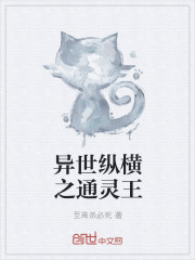 异世纵横之通灵王章节列表