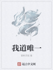 我道唯一章节列表