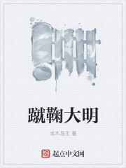 蹴鞠大明章节列表