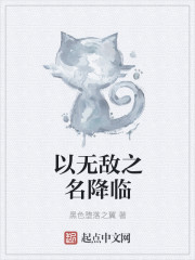 以无敌之名降临章节列表