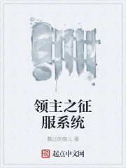 领主之征服系统章节列表