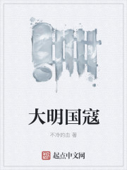 大明国寇章节列表