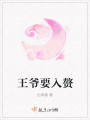 王爷要入赘章节列表
