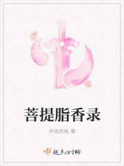 菩提脂香录章节列表