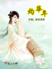 灼华年章节列表