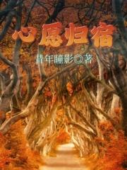 心愿归宿章节列表