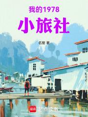 我的1978小旅社章节列表