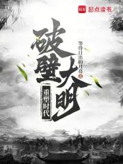 破壁大明，重塑时代章节列表