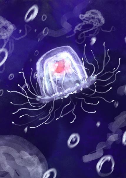 小水母的海底历险记章节列表