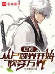 综漫：从尸魂界开始砍穿万界章节列表