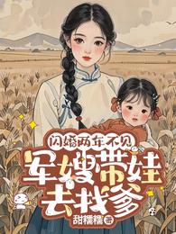 闪婚两年不见，军嫂带娃去找爹章节列表