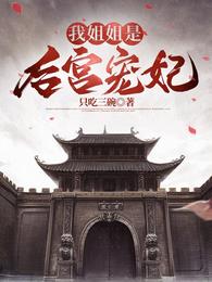 我姐姐是后宫宠妃章节列表