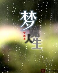 梦境人生章节列表