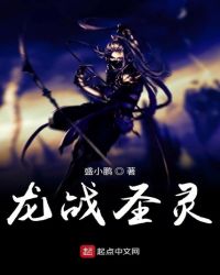 龙战圣灵章节列表