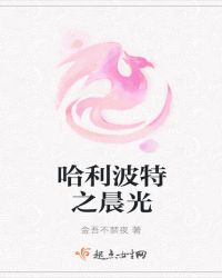 哈利波特之晨光章节列表