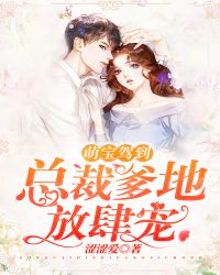 萌宝驾到：总裁爹地放肆宠章节列表