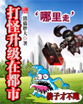 打怪升级在都市章节列表