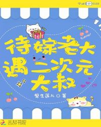 待嫁老大遇二次元大叔章节列表