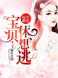 权少霸爱：宝贝，休想逃章节列表