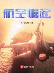 航空崛起章节列表