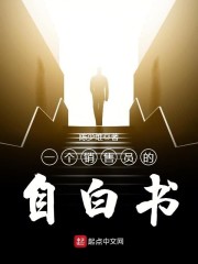 一个销售员的自白书章节列表