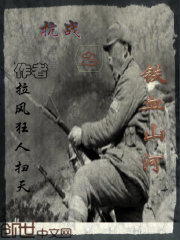 抗战之铁血山河章节列表