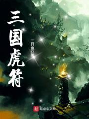 三国虎符章节列表