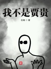 我不是贾贵章节列表