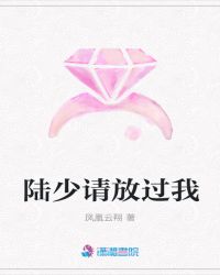 陆少请放过我章节列表