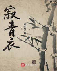 寂青衣章节列表