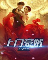 上门豪婿章节列表