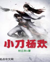 小刀杨欢章节列表