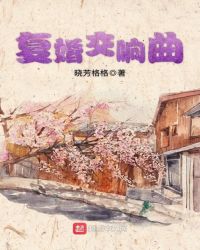 复婚交响曲章节列表