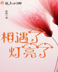 相遇了灯亮了章节列表