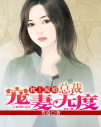 枕上暖婚：总裁宠妻无度章节列表